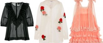 Organza blouses and dress