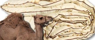 How to choose a camel wool blanket: which manufacturer is better, reviews