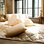 How to choose a blanket rating of the best manufacturers