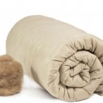 Which blankets are best to buy with which filling?