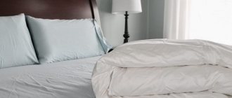 Features of artificial swan down blankets - pros and cons