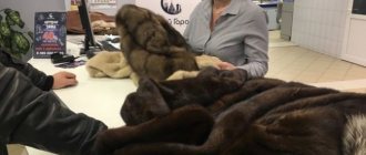 caring for fur products