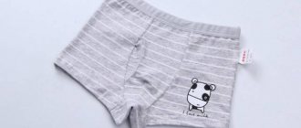 Pattern of boxer briefs for boys